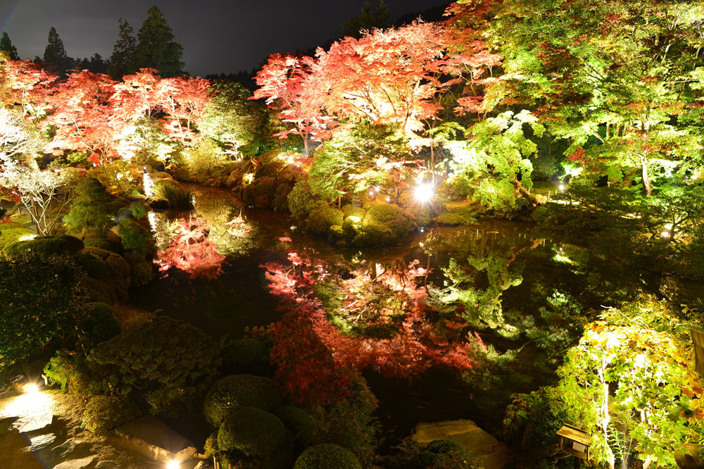 日光山輪王寺　逍遥園ライトアップ