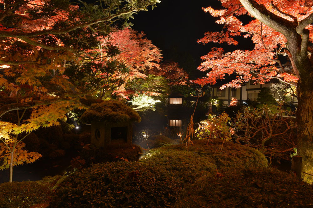 日光山輪王寺　逍遥園ライトアップ